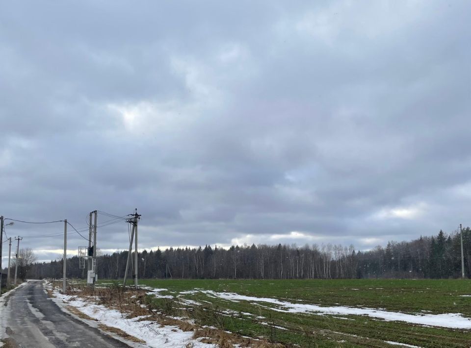 земля городской округ Наро-Фоминский 155, Ивушка СНТ фото 15