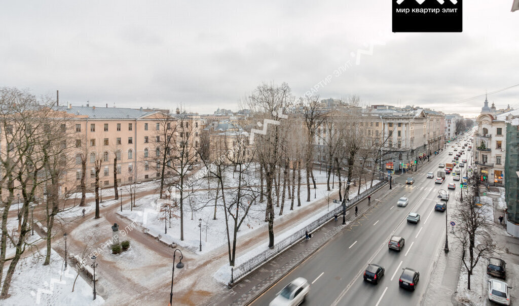 квартира г Санкт-Петербург метро Петроградская пр-кт Каменноостровский 26/28 округ Кронверкское, Петроградка фото 8