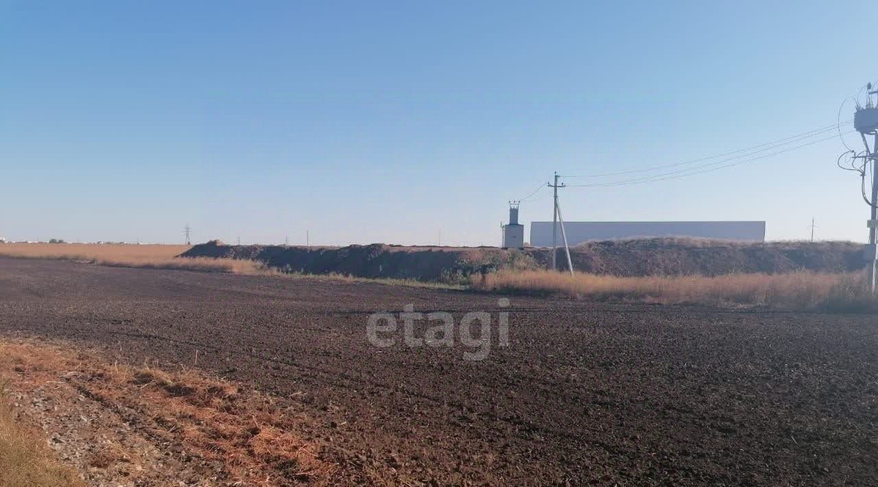 земля р-н Рамонский с Чистая Поляна ул Юбилейная фото 5