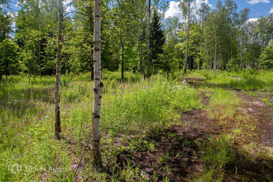 земля городской округ Одинцовский д Раздоры дачно-строительный кооператив Буран фото 1