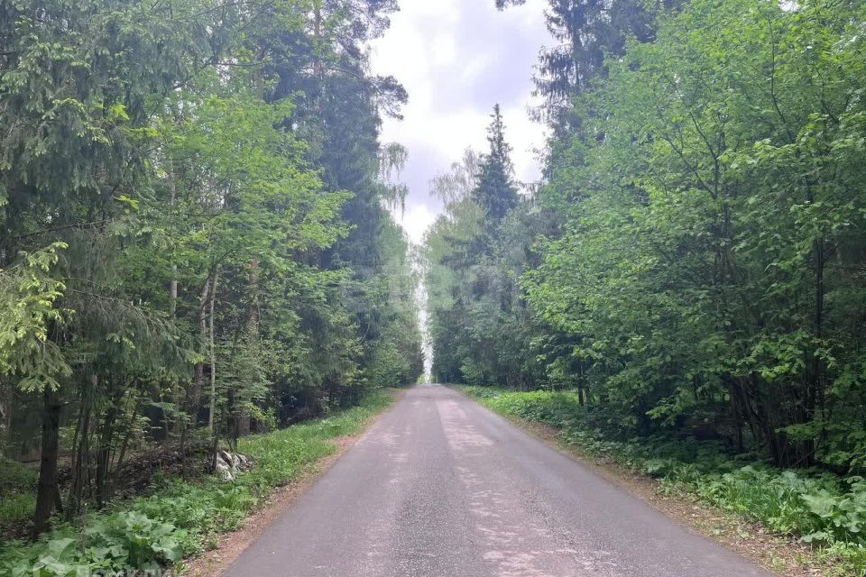 земля городской округ Солнечногорск д. Покров фото 5