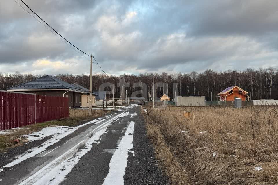 земля городской округ Домодедово д. Матчино фото 1