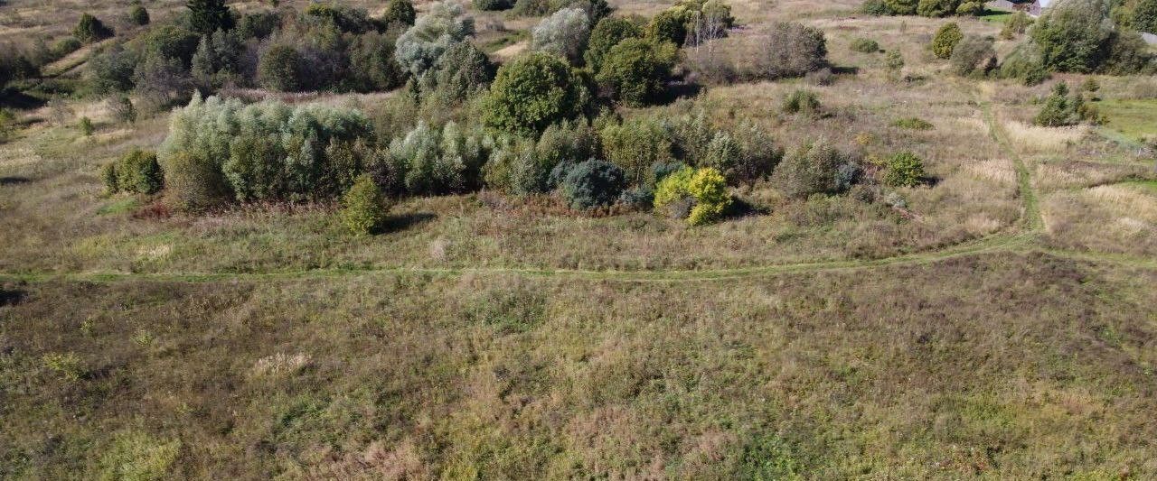 офис городской округ Волоколамский д Чернево фото 4