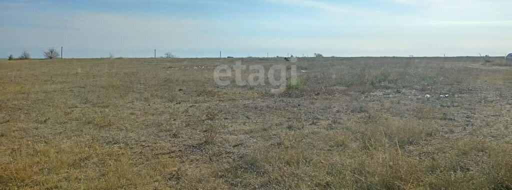 земля р-н Черноморский с Калиновка ул Механизаторская фото 3