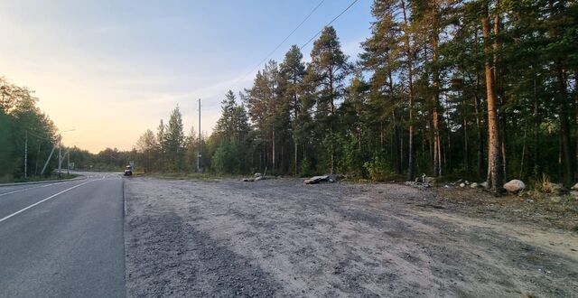 земля Заозерское сельское поселение, Петрозаводск фото