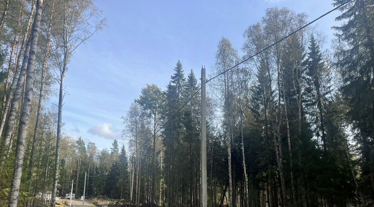 земля р-н Всеволожский снт Озерное Токсовское городское поселение, 8-я линия, Лесколово фото 10