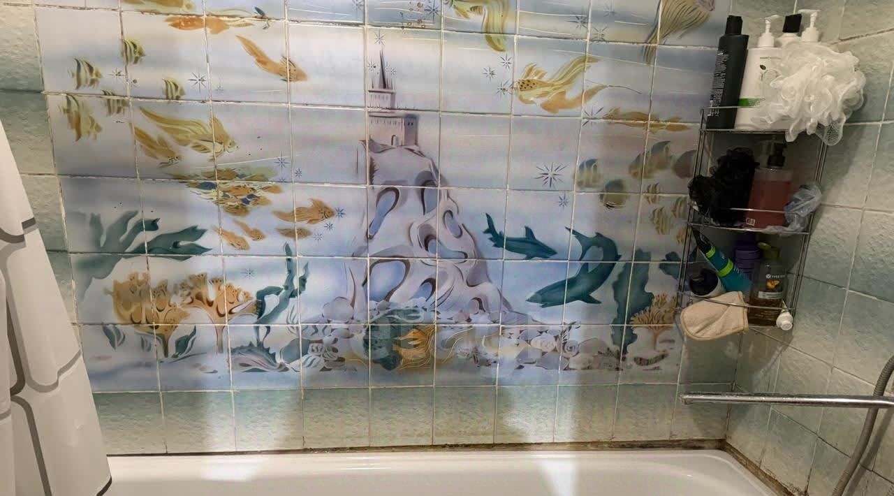 квартира г Смоленск р-н Промышленный ул Рыленкова 49 фото 22