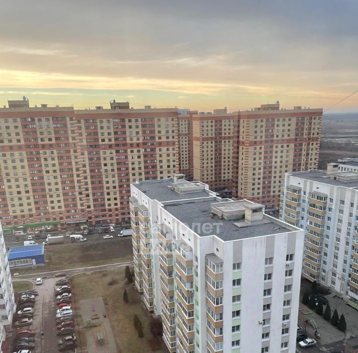 квартира г Рязань р-н Советский ул Зеленая 24 фото 2