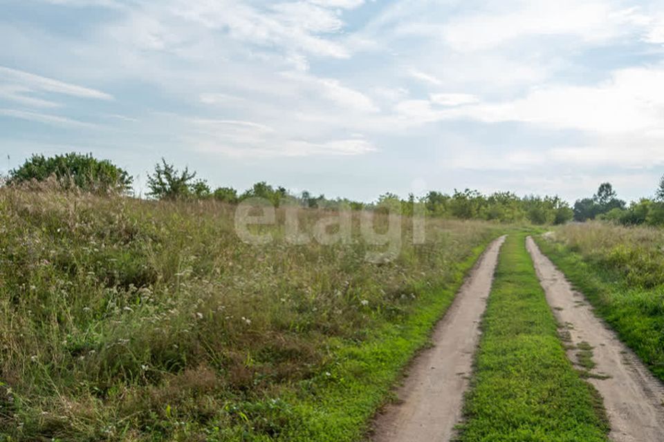 земля г Бийск с Фоминское ул Школьная 11 городской округ Бийск фото 5