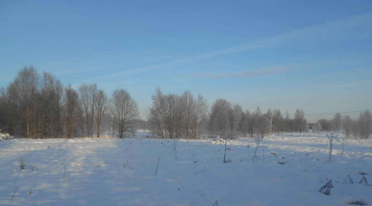 офис городской округ Шаховская д Степаньково фото 1