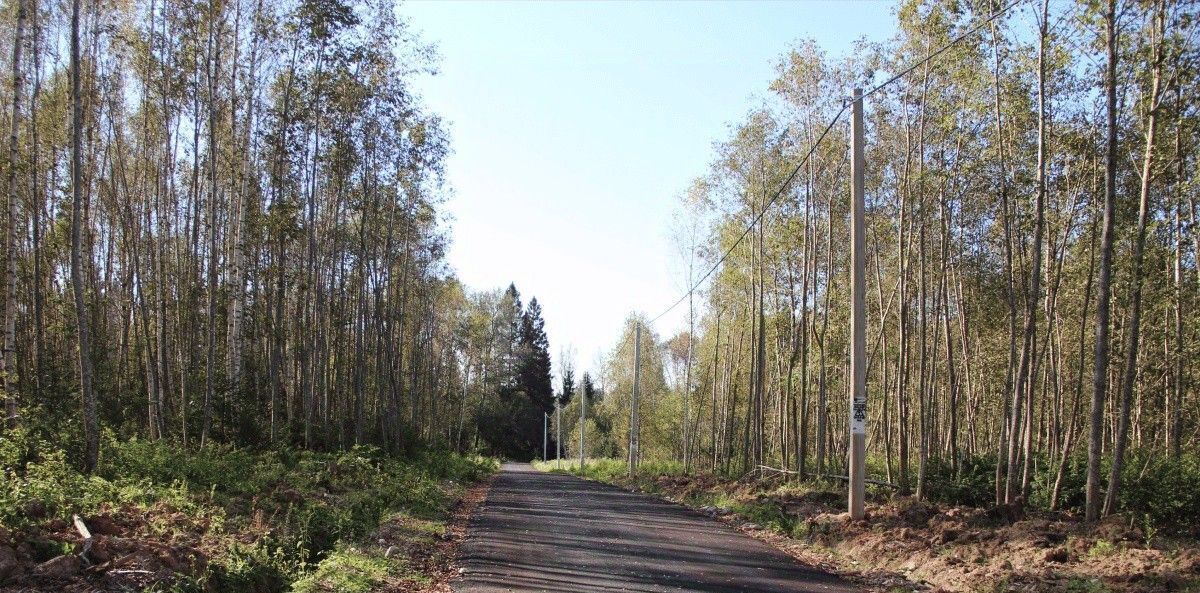 земля городской округ Волоколамский д Ширяево фото 7