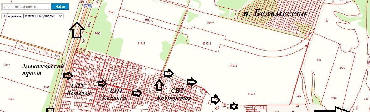 земля г Барнаул снт Горный лен фото 1