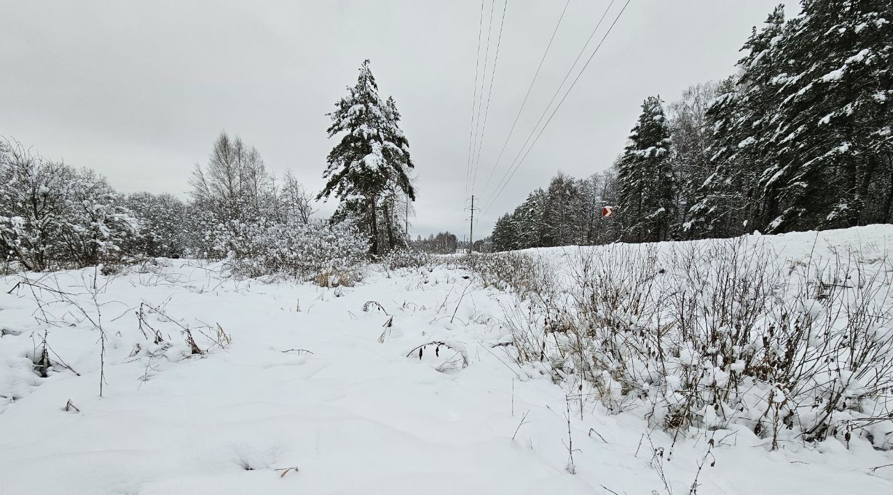 земля городской округ Можайский д Сергово фото 4