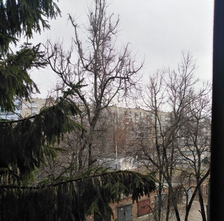 квартира г Курск р-н Центральный ул Димитрова 103 фото 14