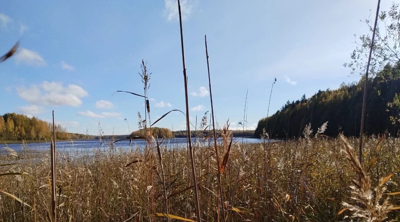 земля р-н Кондопожский г Кондопога Кондопожское городское поселение фото 12