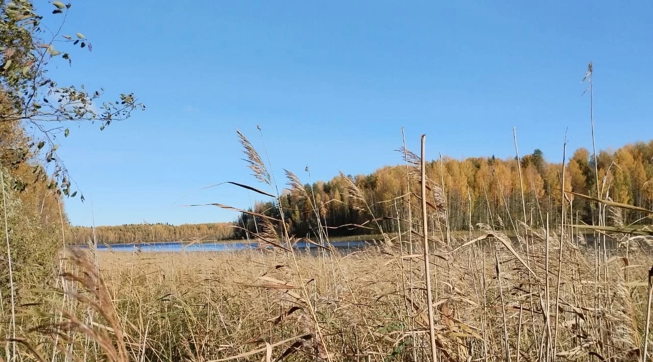земля р-н Кондопожский г Кондопога Кондопожское городское поселение фото 11