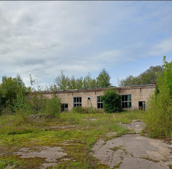 производственные, складские р-н Бежаницкий п Бежаницы ул Смольная городское поселение Бежаницы фото 5