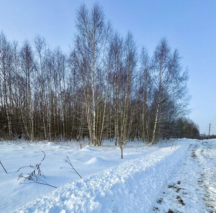 земля городской округ Рузский п Старотеряево фото 1