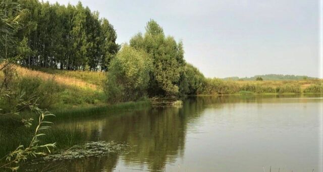 р-н Зеленодольский д Берновые Ковали Бишнинское с/пос, ул. Полевая фото