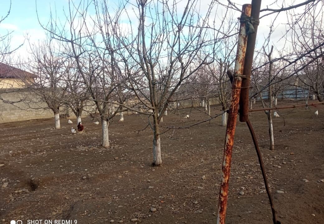 земля р-н Кизилюртовский с Зубутли-Миатли сельсовет Зубутли-Миатлинский, ул. Багавдин Юсупова фото 1