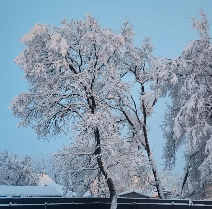 дом городской округ Орехово-Зуевский д Чистое 4В фото 14