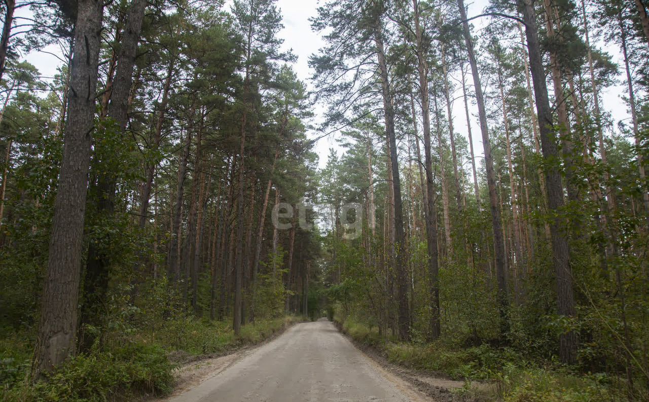 земля р-н Новосибирский дп Кудряшовский сельсовет, Новосибирск фото 7