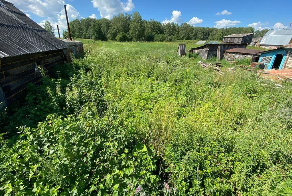 дом р-н Новосибирский с Быково ул Заречная 33 Берёзовский сельсовет фото 3