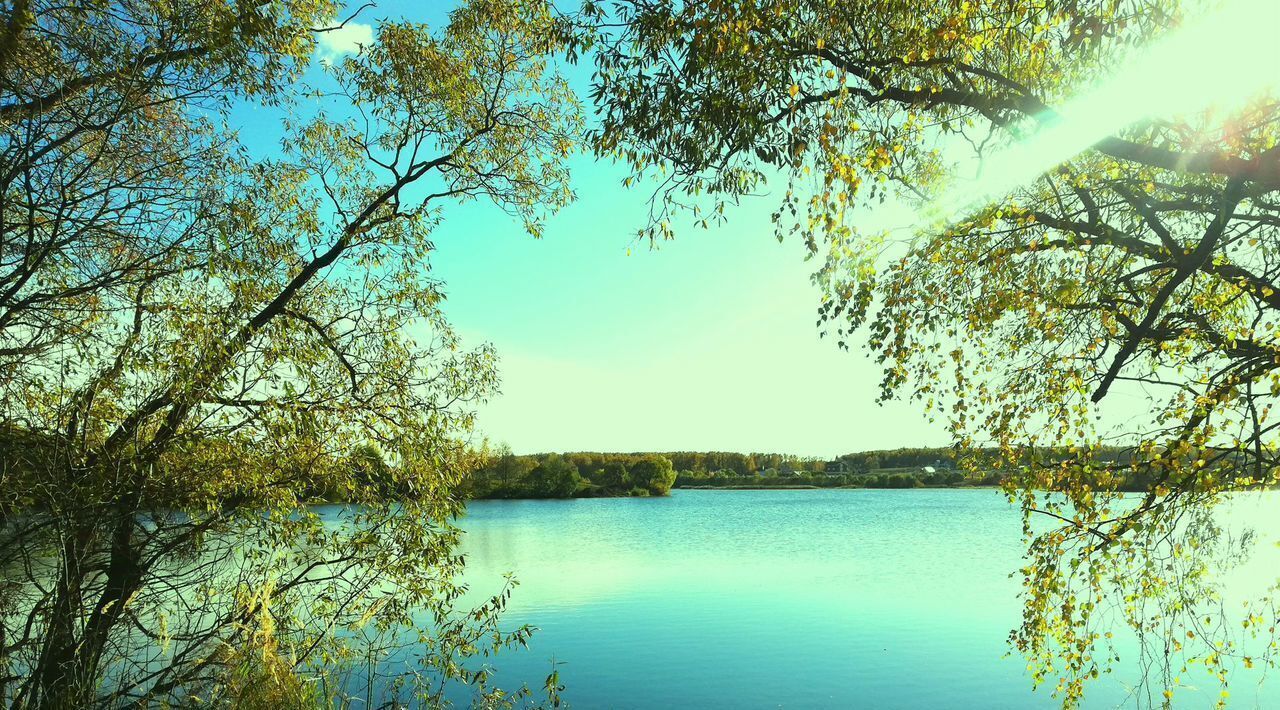 земля городской округ Дмитровский д Каменка фото 3