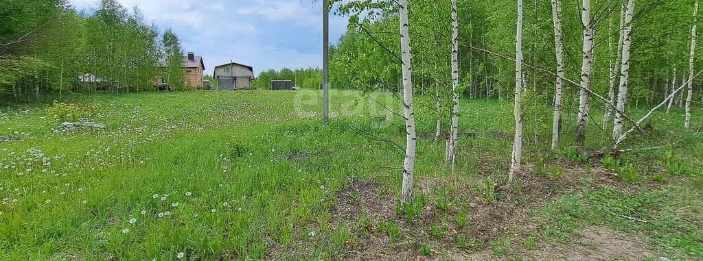 земля р-н Медведевский д Новотроицк ул Вишневая Сидоровское сельское поселение фото 3