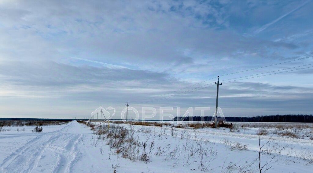 земля р-н Тюменский с Горьковка ул Сибирская Горьковское сельское поселение фото 4