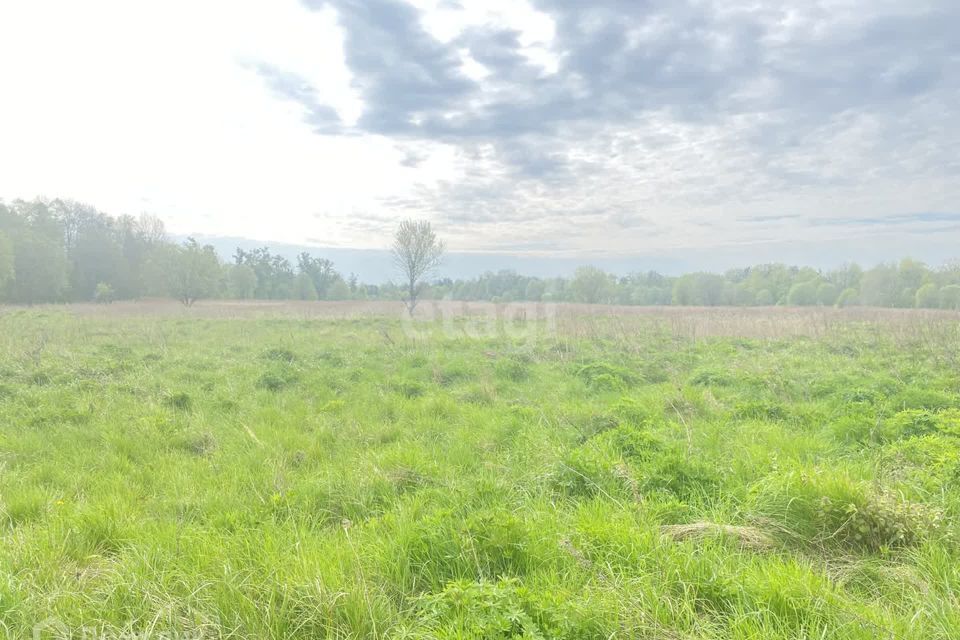 земля р-н Гвардейский п Комсомольск ул Центральная 13 фото 1