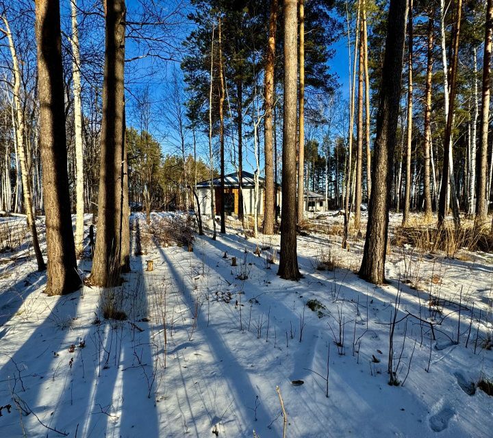 земля Полевской городской округ, с. Курганово фото 8