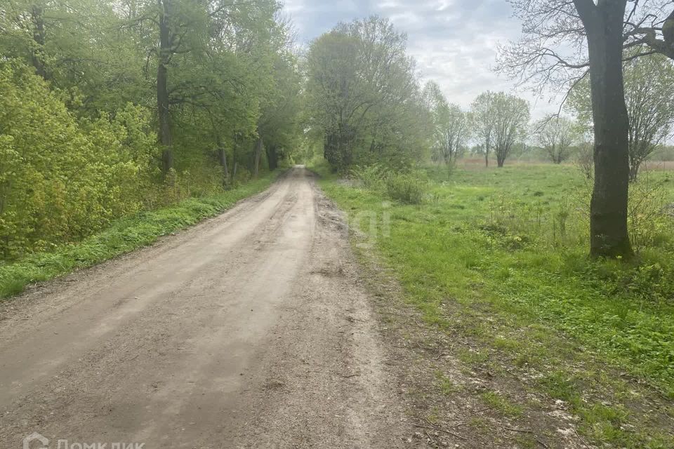 земля р-н Гвардейский п Комсомольск ул Центральная 13 фото 6