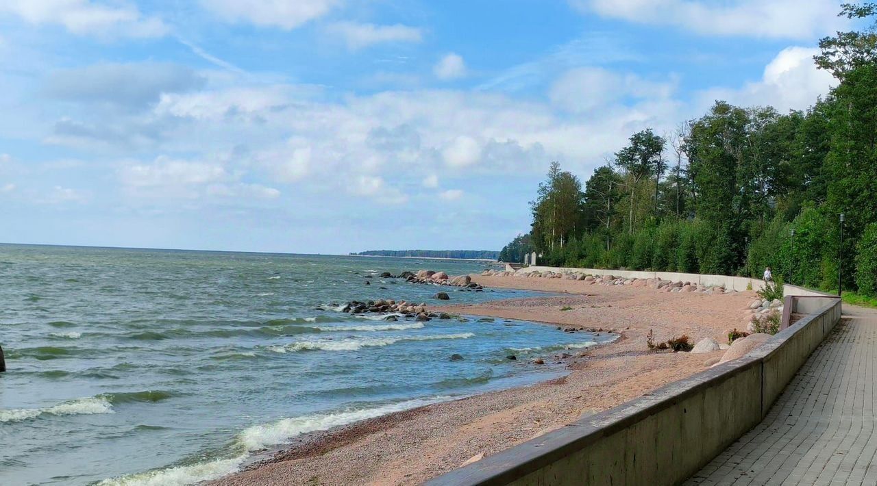 земля р-н Выборгский Полянское сельское поселение, КП Балтийская ривьера, Янтарная улица, Санкт-Петербург фото 13