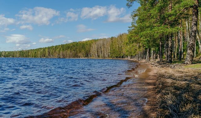 Приморское городское поселение, коттеджный посёлок Тишь да гладь фото