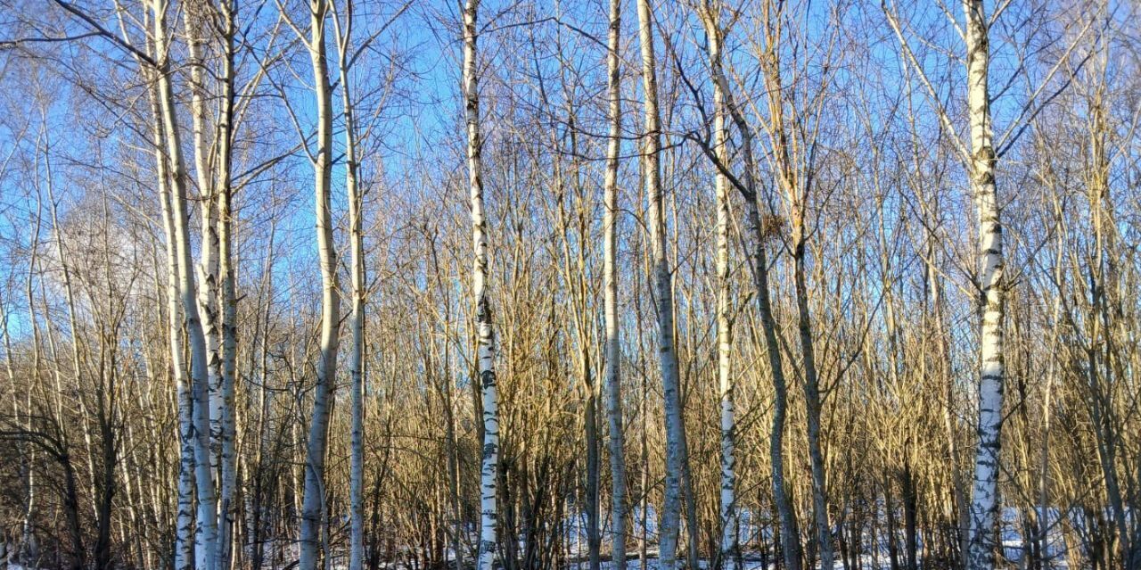 офис г Тверь п Черкассы р-н Заволжский пер Добрый фото 1