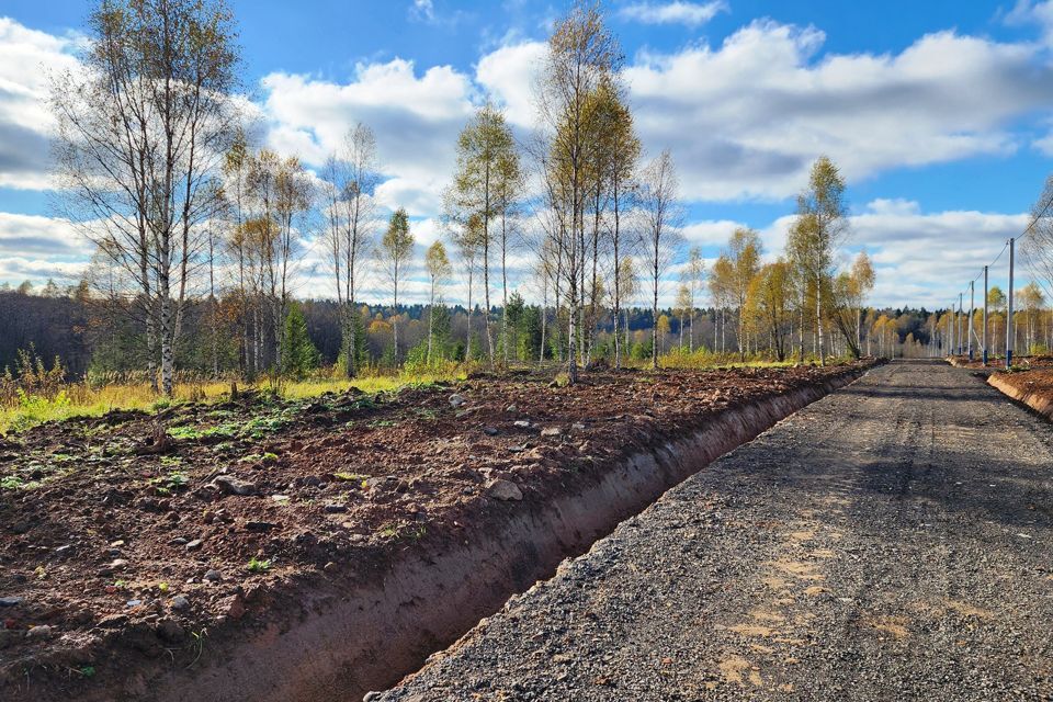 земля городской округ Клин Клин фото 4