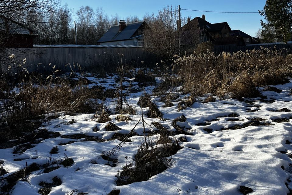 земля городской округ Орехово-Зуевский д. Будьково фото 2