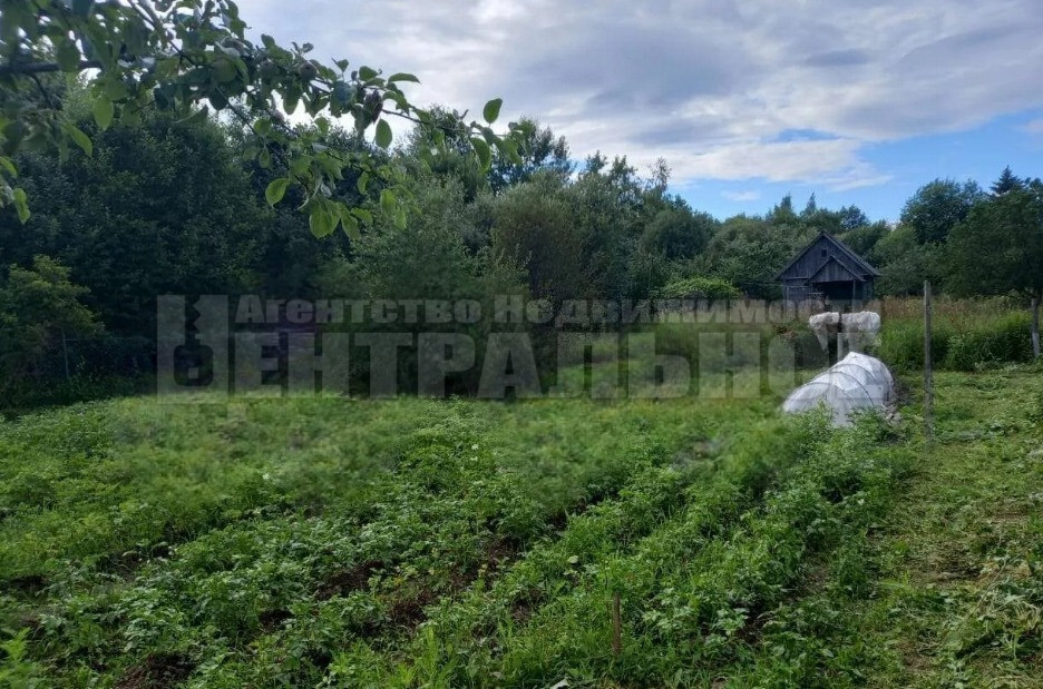 дом г Смоленск р-н Заднепровский СТ Черничный сад САЗ снт фото 2