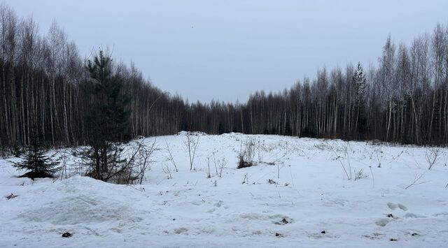 земля п Луч муниципальное образование, Андреевское фото