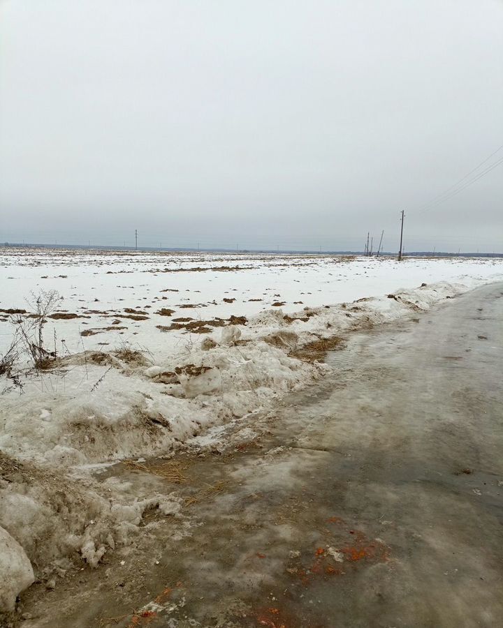 земля р-н Ковровский д Бизимово муниципальное образование Малыгинское, 21, Ковров фото 2