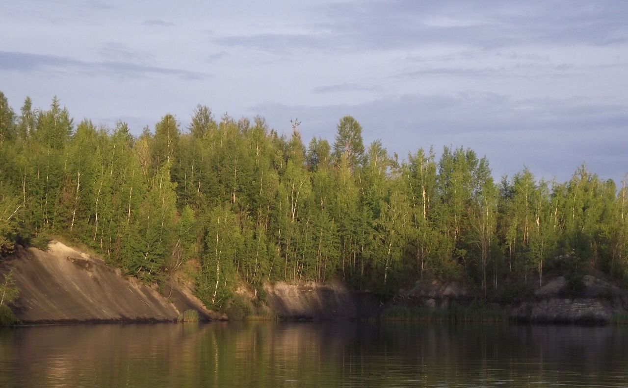 земля р-н Кимовский д Ренево сельское поселение Новольвовское, 33, Донской фото 13