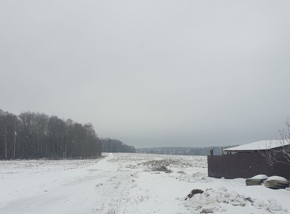 дом городской округ Пушкинский с. Деревня Старое фото 15