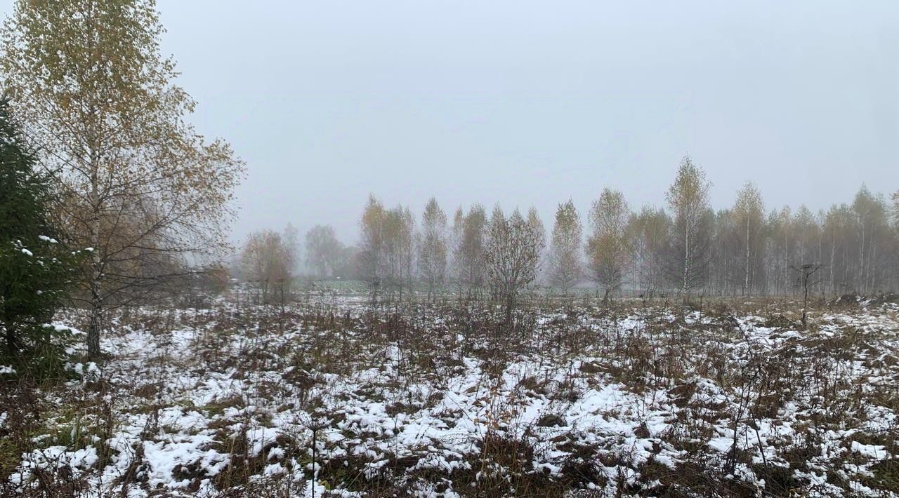 офис городской округ Истра д Житянино фото 1