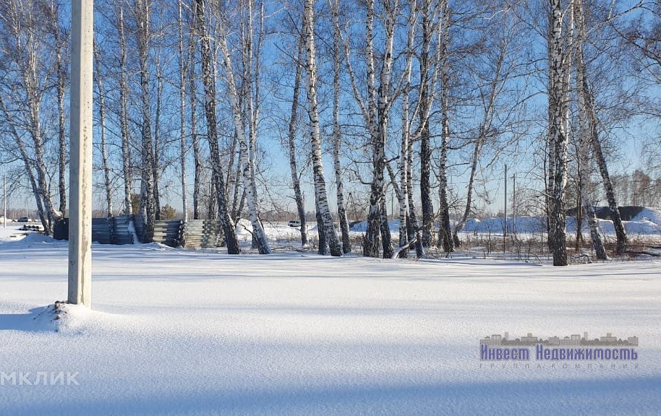 земля р-н Первомайский с. Фирсово фото 1