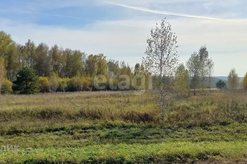 земля р-н Крапивинский пгт Крапивинский ул Провинциальная Кемеровская область — Кузбасс фото 8