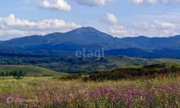 земля р-н Солонешенский п Тог-Алтай ул Трактовая фото 5