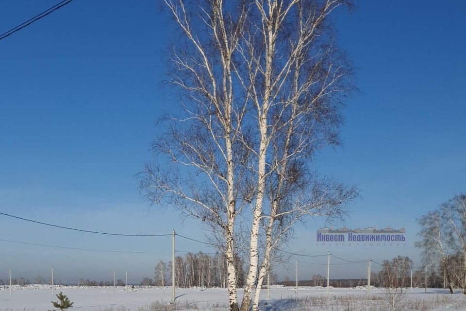 земля р-н Первомайский с. Фирсово фото 8