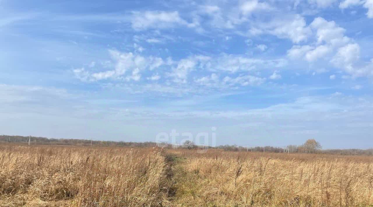 земля р-н Хабаровский с Гаровка-1 ул Радужная 24 фото 3