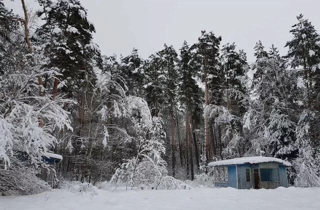 земля р-н Алексинский с Бунырево ул Приокская муниципальное образование, Алексин фото 5